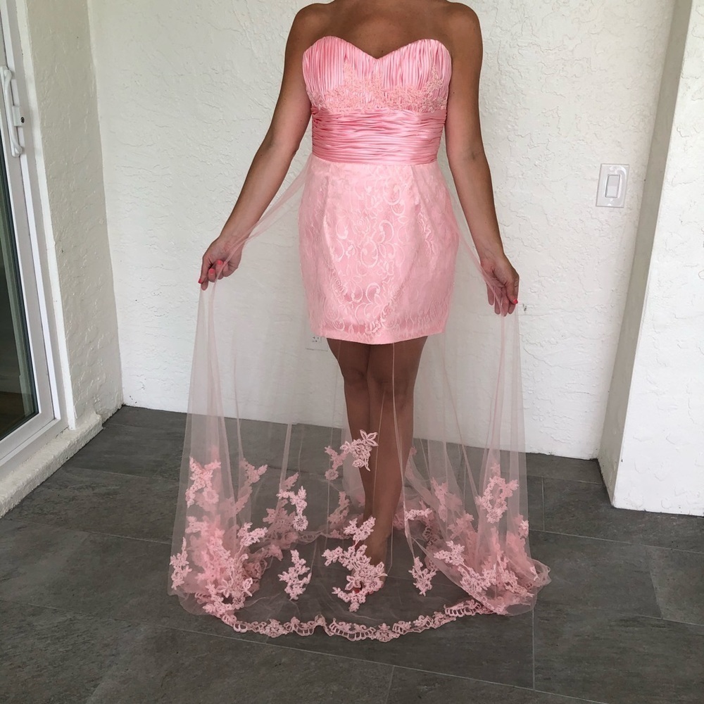 Alyce Paris Pink Etherial Lace Prom Pageant Gown Dress Womens 6